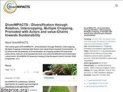 Sites similar to diverimpacts.net