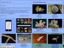 Sites similar to diverosa.com