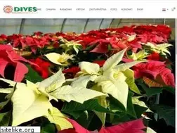 Sites similar to dives-rasadnik.hr