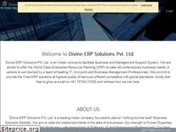 Sites similar to divineerp.com