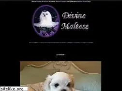 Sites similar to divinemaltese.com