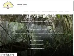 Sites similar to divinetours.co.za