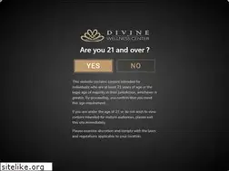 Sites similar to divinewellnessla.com