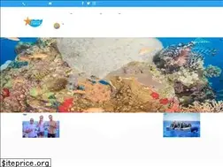 Sites similar to diving-star.com