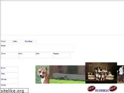 Sites similar to divinityamstaffs.com