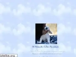 Sites similar to dixierunlabradors.com