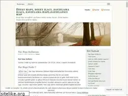 Sites similar to diyethapi.wordpress.com