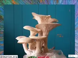 Sites similar to diyfungi.blog