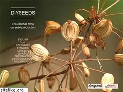 Sites similar to diyseeds.org