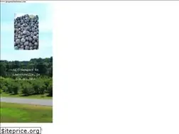 Sites similar to djsupickblueberries.com