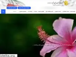 Sites similar to dkhobreh.com