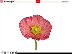 Sites similar to dkimages.com