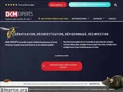 Sites similar to dkmexperts.fr