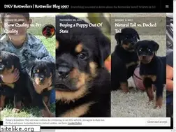 Sites similar to dkvrottweilers.wordpress.com