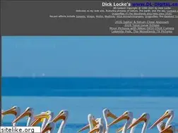 Sites similar to dl-digital.com
