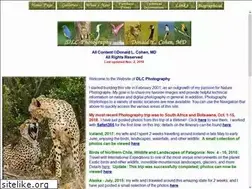 Sites similar to dlcphoto.com