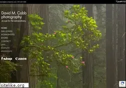 Sites similar to dmcobbphoto.com