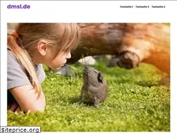 Sites similar to dmsl.de