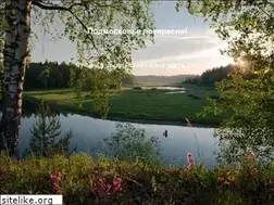 Sites similar to do-pokrovskoe.ru