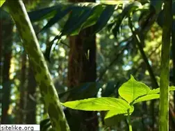 Sites similar to dobiemeadows.com