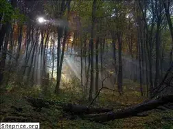 Sites similar to dobogokokirandulas.hu