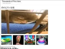 Sites similar to dobutsuwebba.web.app