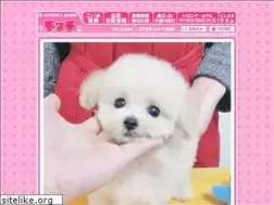 Sites similar to dog-chicchi.com