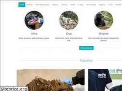 Sites similar to dog-point.cz