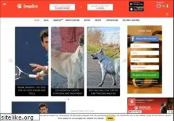 Sites similar to dogalize.com