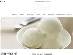 Sites similar to dogalsalep.com