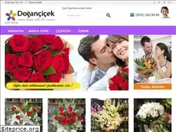 Sites similar to dogancicek.com