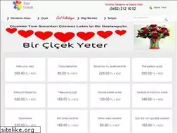 Sites similar to dogancicekcilik.com