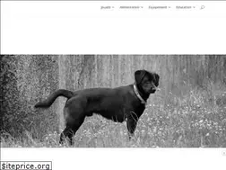 Sites similar to dogavie.fr
