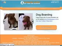 Sites similar to dogboardingmissionviejo.com