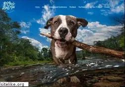 Sites similar to dogbreathphoto.com