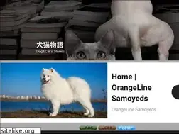 Sites similar to dogcat.site