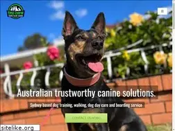 Sites similar to dogcrew.com.au