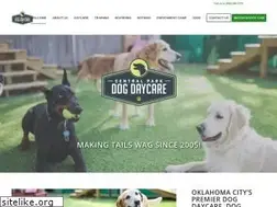 Sites similar to dogdaycareokc.com