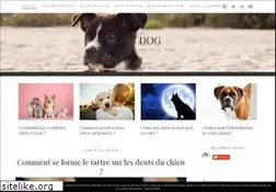 Sites similar to dogdog.fr