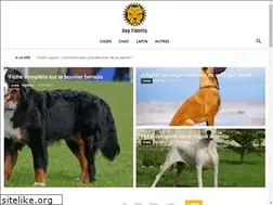 Sites similar to dogfidelity.com