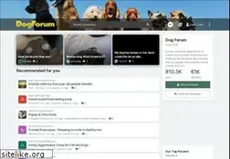 Sites similar to dogforum.com