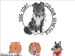 Sites similar to doggenetics.co.uk
