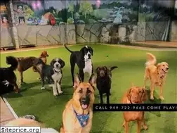Sites similar to doggiedaycareandmore.com
