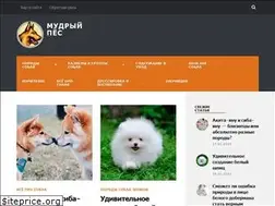 Sites similar to doggiedog.ru