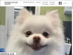 Sites similar to doggiestylesvt.com