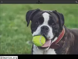 Sites similar to doggiestylezinc.com