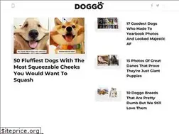 Sites similar to doggo.com