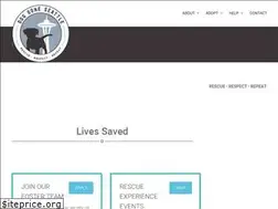 Sites similar to doggoneseattle.org