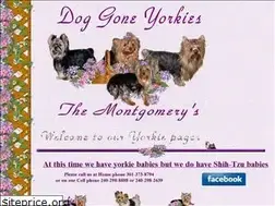 Sites similar to doggoneyorkies.com