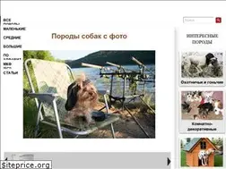Sites similar to doggy-boom.ru